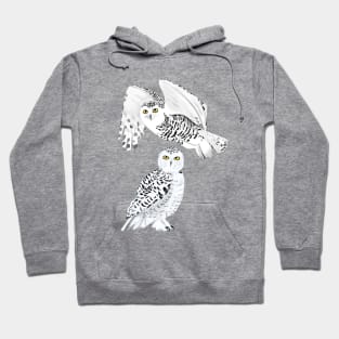Snowy Owls Hoodie